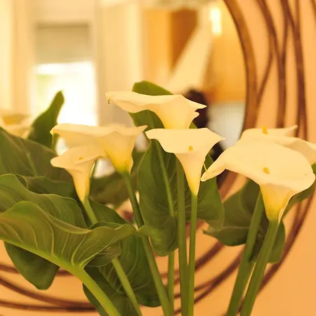 Saxophone House Seaview Family Apartman Réthimno